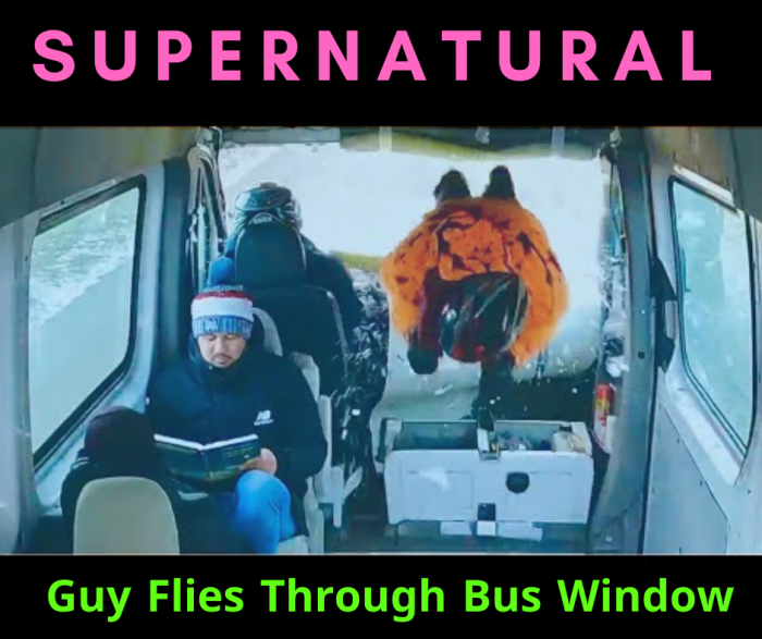 Guy Flies Through Bus Window